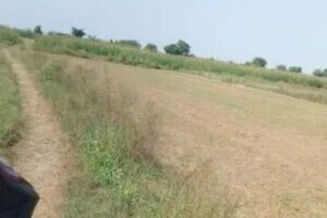 Plot Area in  Plot at Huda Sector 2 – for Sale
