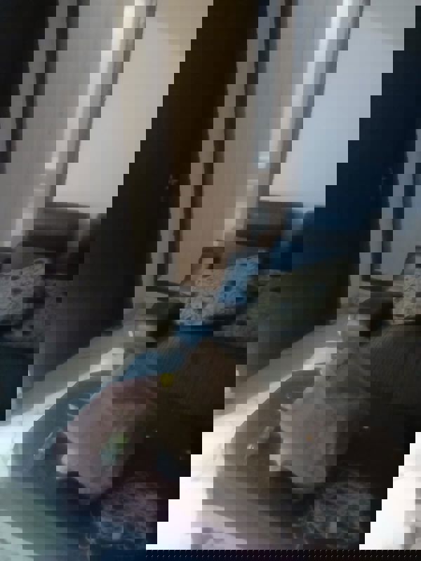 2 BHK Independent House For Rent in Sector 41