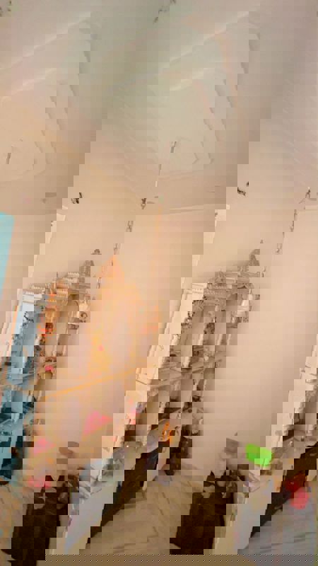 5 BHK + Pooja Room,Study Room Independent House For Rent in Lakshmi Nivas Sri Nagar Colony