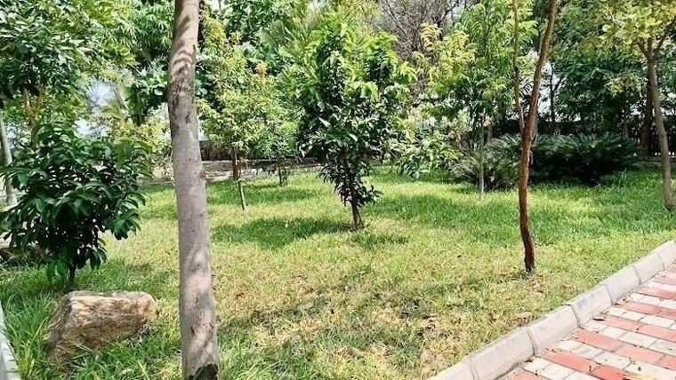 undefined, gauribidanur  1200 Sq.Ft. Plot In Gauribidanur Chikkaballapur 9848135