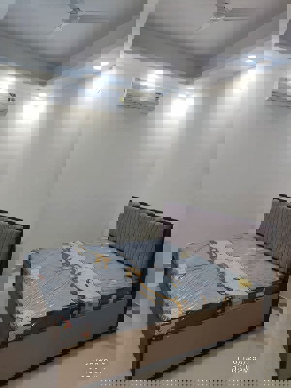 1 BHK Apartment For Rent in Saket