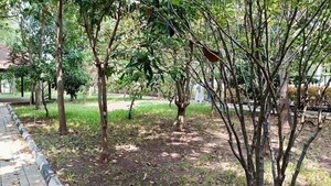  Plot – Garden View at Gauribidanur - for Sale