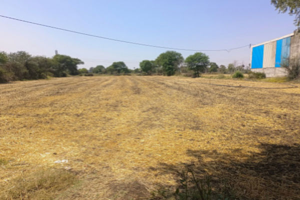 Plot For Sale in ROF Insignia Park 2