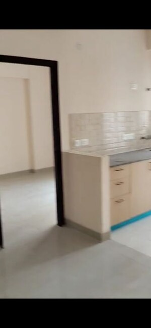 1 BHK Apartment For Rent in Amrapali Dream Valley, Tech Zone 4 Greater Noida