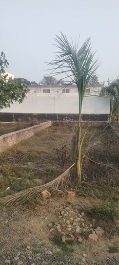 Plot For Sale in Ganga Nagar