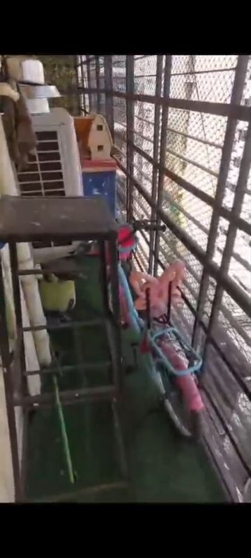 Balcony in 1 BHK Apartment at Ekta CHS Agripada, Agripada – for Sale