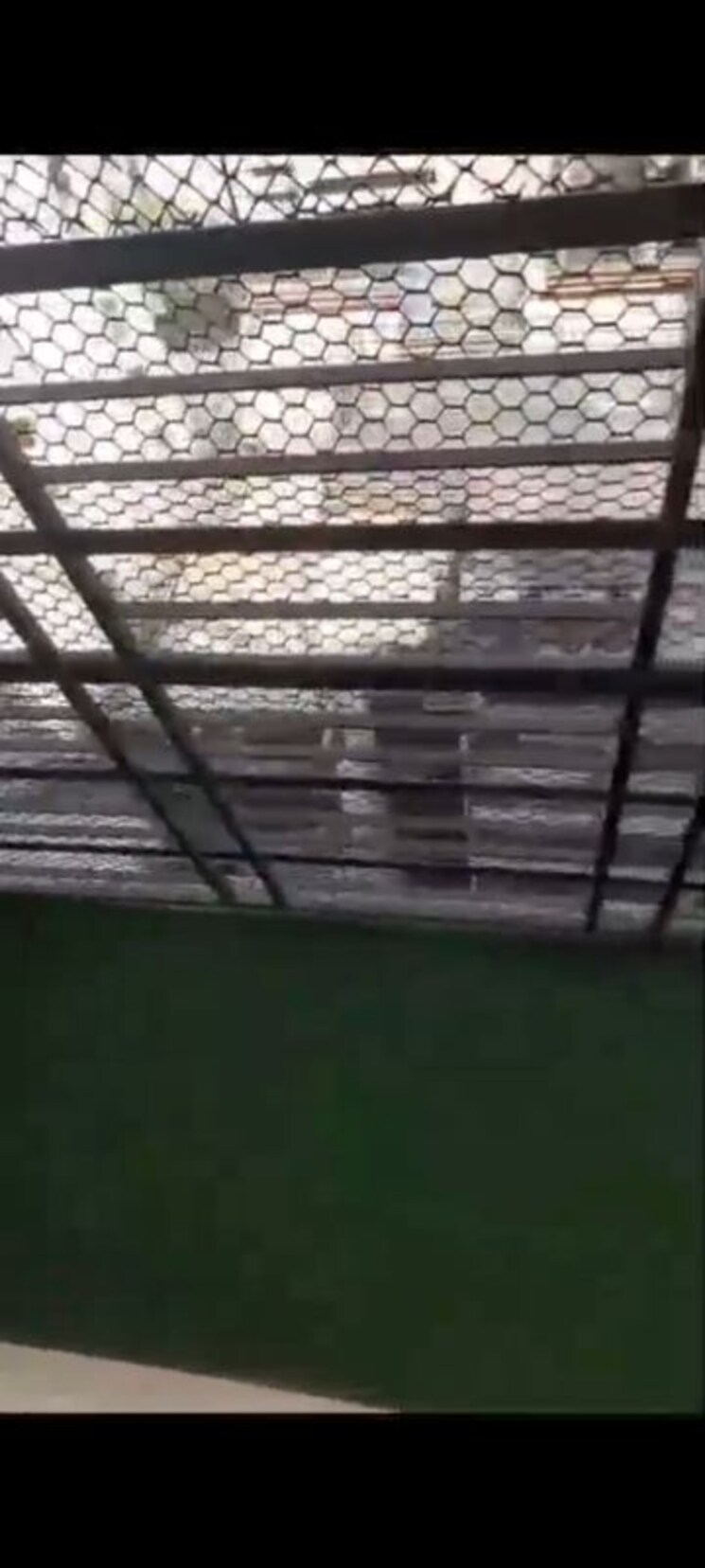 Balcony, ekta-chs-agripada 1 Bedroom 420 Sq.Ft. Apartment In Agripada Mumbai 9848401