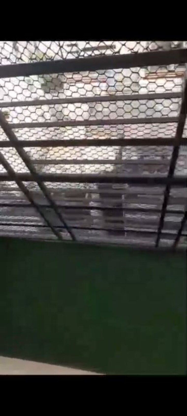 Balcony, ekta-chs-agripada 1 Bedroom 420 Sq.Ft. Apartment In Agripada Mumbai 9848401