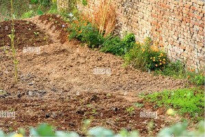 Plot Area in  Plot at Sector 9a – for Sale