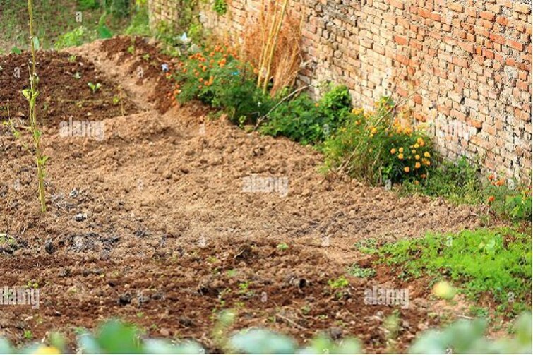 undefined, sector 9a  60 Sq.Yd. Plot In Sector 9a Gurgaon 9848435