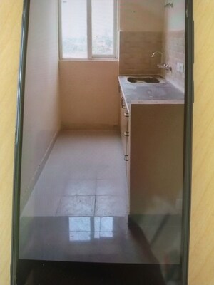 1 BHK Apartment For Rent in Amrapali Dream Valley, Tech Zone 4 Greater Noida