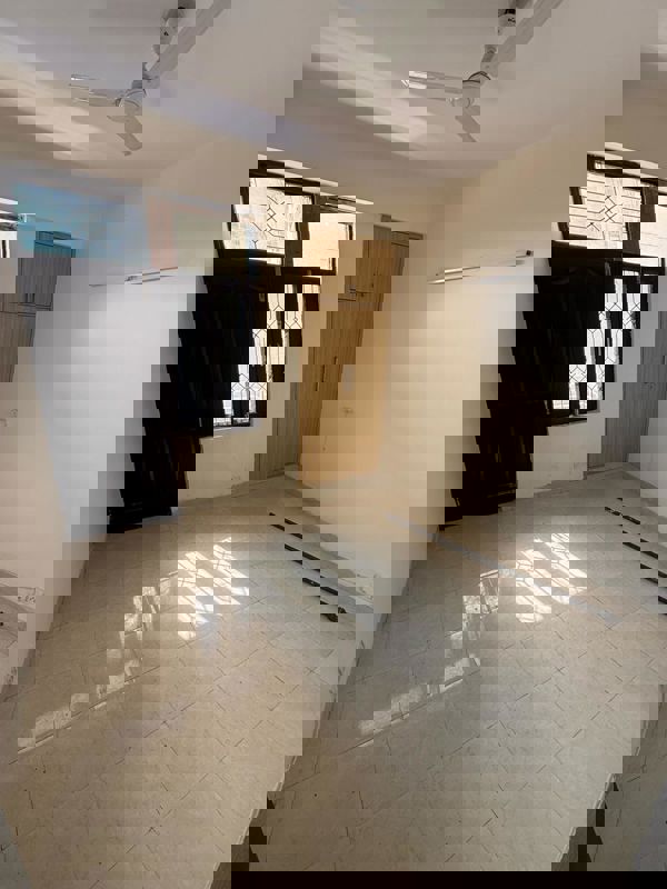 3 BHK Apartment For Rent in Tulip Orange