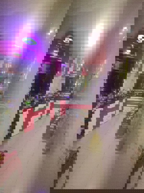 2 BHK Apartment For Rent in Sai Prasad Apartments Nerul