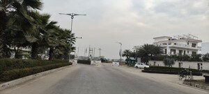  Plot For Sale in Manohar Singh Palm Residency, North Mullanpur