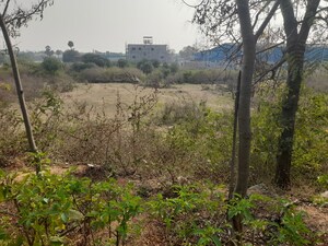  Land For Sale in Jalapalli