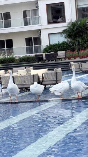 2.5 BHK Apartment – Exterior View View at Central Park 3 The Room, Sohna Sector 33 - for Sale