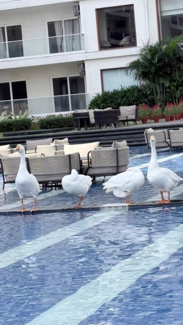 Exterior View, central-park-3-the-room 2.5 Bedroom 1444 Sq.Ft. Apartment In Sohna Sector 33 Gurgaon 9850033