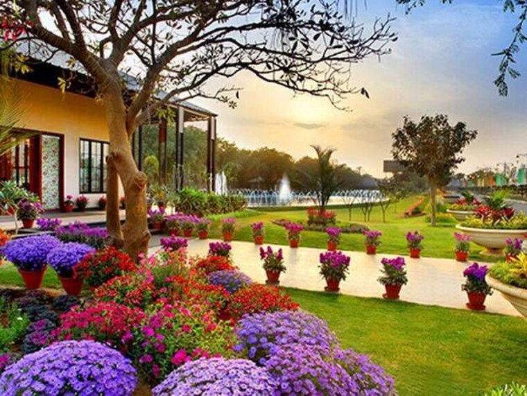 Garden, central-park-3-the-room 2.5 Bedroom 1444 Sq.Ft. Apartment In Sohna Sector 33 Gurgaon 9850033