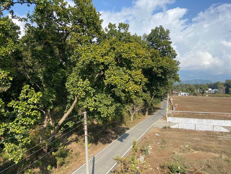 undefined, sudhowala  200 Sq.Yd. Plot In Sudhowala Dehradun 9850411