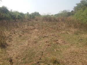  Land For Sale in Mahad