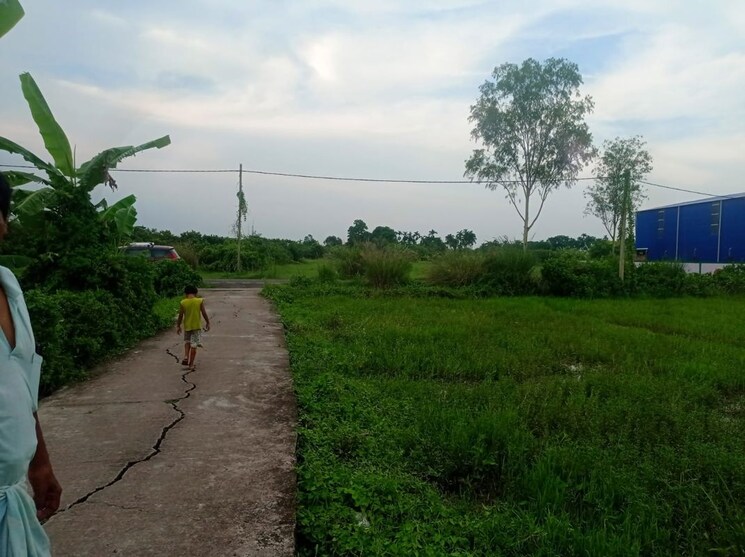 undefined, baruipur  7250 Sq.Ft. Plot In Baruipur Kolkata 9813624