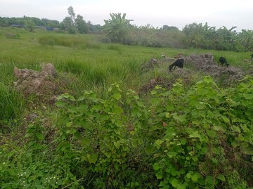 Plot Area in  Plot at Gobindapur – for Sale