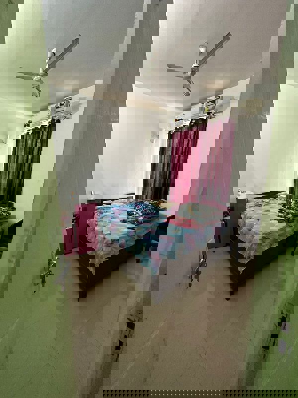 3 BHK Builder Floor For Rent in Sector 52