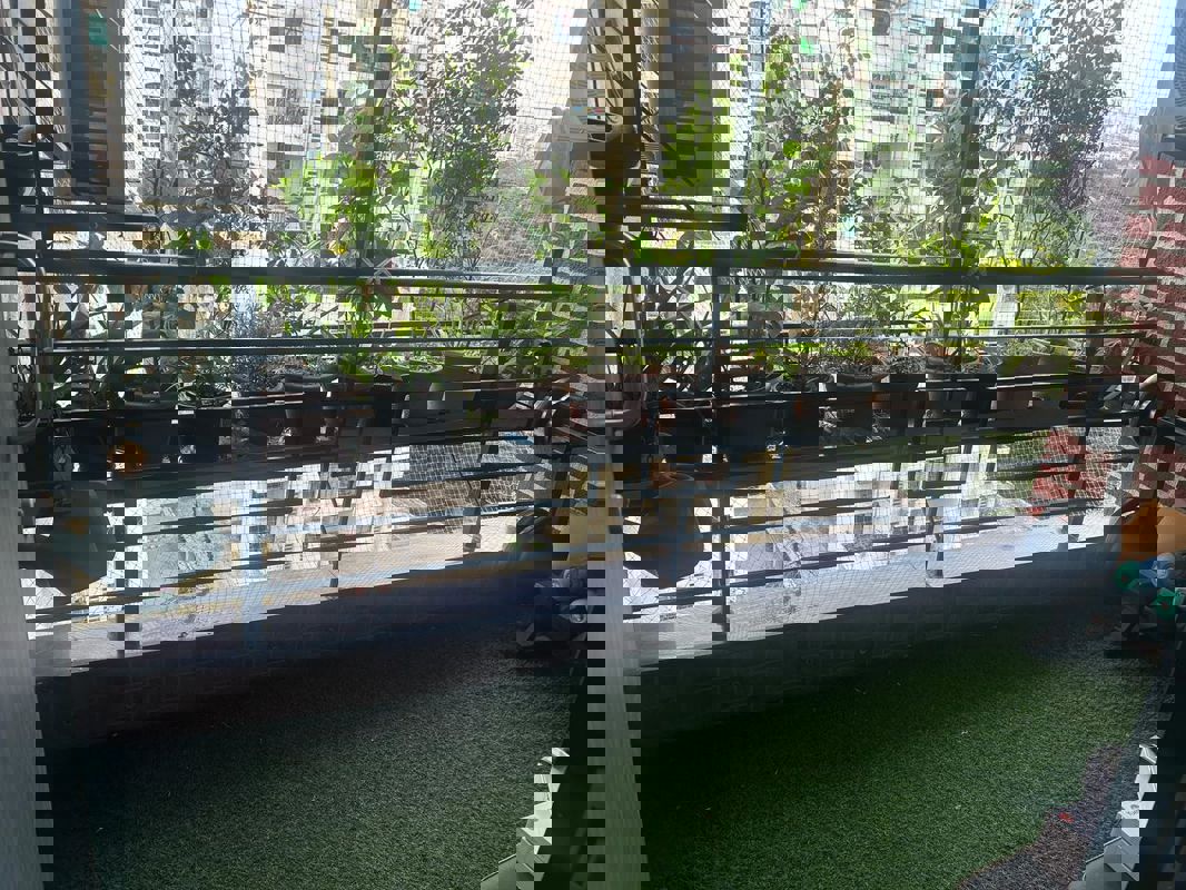 2 BHK + Pooja Room Apartment For Sale in Dreams Elina