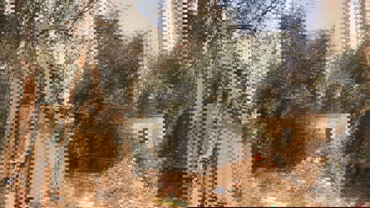 Plot For Sale in Delta I Greater Noida