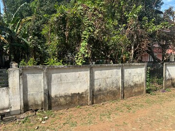 Plot Area in  Plot at Kuriachira – for Sale