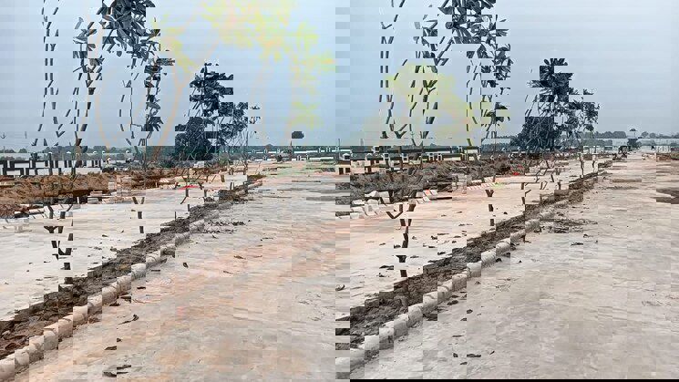 Plot For Sale in Terra City