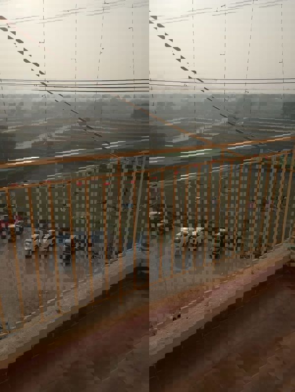 2 BHK + Pooja Room Apartment For Rent in Signature Global Grand Iva