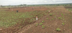 Plot Area in  Plot at Supe – for Sale