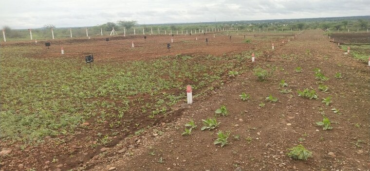 undefined, supe  3000 Sq.Ft. Plot In Supe Pune 9762878