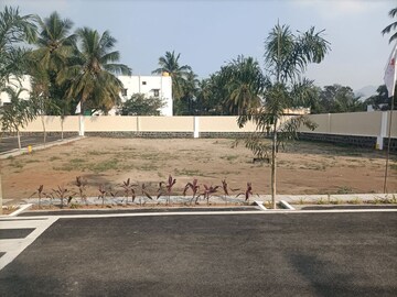 Plot Area in  Plot at Alagapuram – for Sale