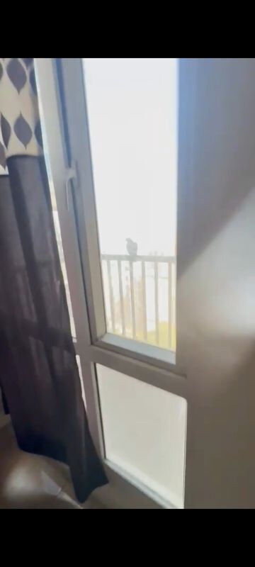 Balcony in 2 BHK Apartment at Gaur Atulyam Gravity, Omicron I Greater Noida – for Rent