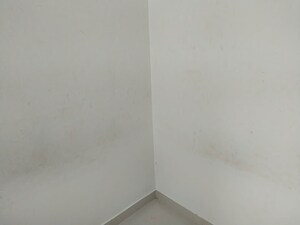 Room in 1 BHK Apartment at Wadhwani Sai Paradise, Punawale – for Rent