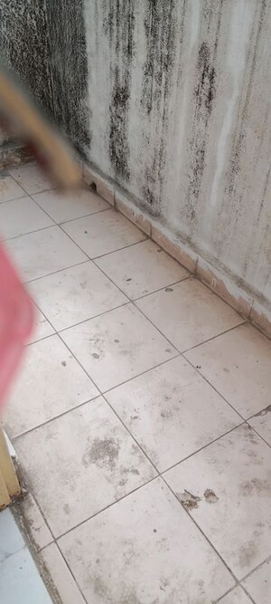 Balcony in 1 BHK Apartment at Paya CHS Aundh, Aundh – for Rent