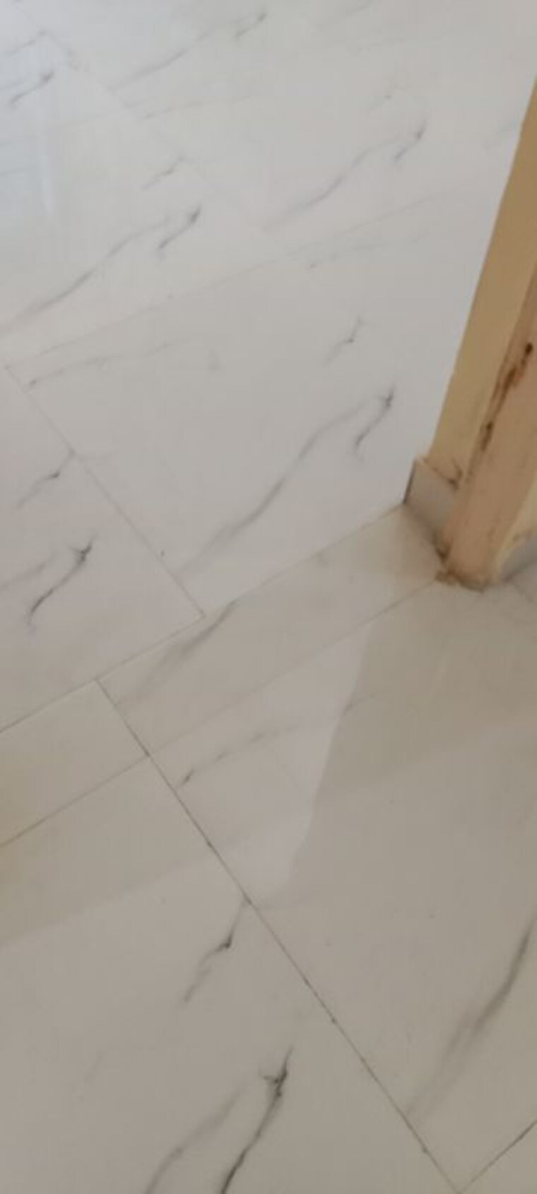 Room, paya-chs-aundh 1 Bedroom 550 Sq.Ft. Apartment In Aundh Pune 9852883