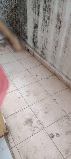 Balcony in 1 BHK Apartment at Gulmohar Villa, Aundh – for Rent