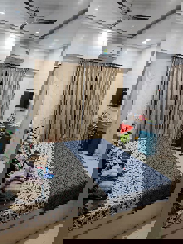 1 BHK Apartment For Rent in Vijay Orovia