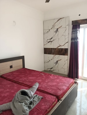 3 BHK Apartment For Rent in ATS Allure, Sector 22d Yamuna Expressway