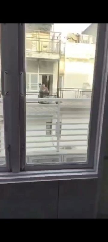 Staircase in 3 BHK Builder Floor at Alaknanda – for Rent