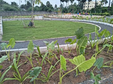  Plot – Garden View at Mambakkam - for Sale