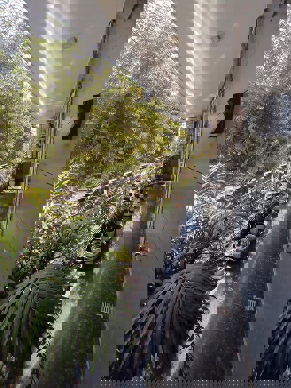 2 BHK Builder Floor For Rent in Sector 46