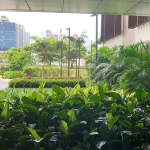 Balcony in 4 BHK Apartment at Kalpataru Avana, Parel – for Sale