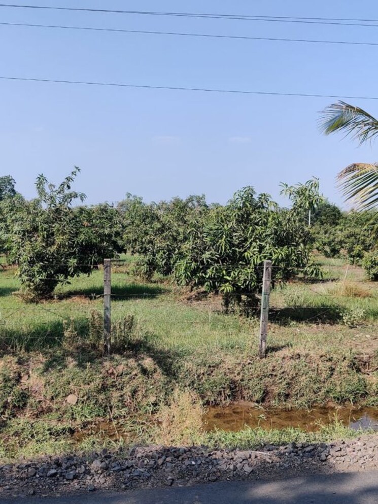 undefined, shahpore Commercial Land 156 Acre In Shahpore Surat 9853258