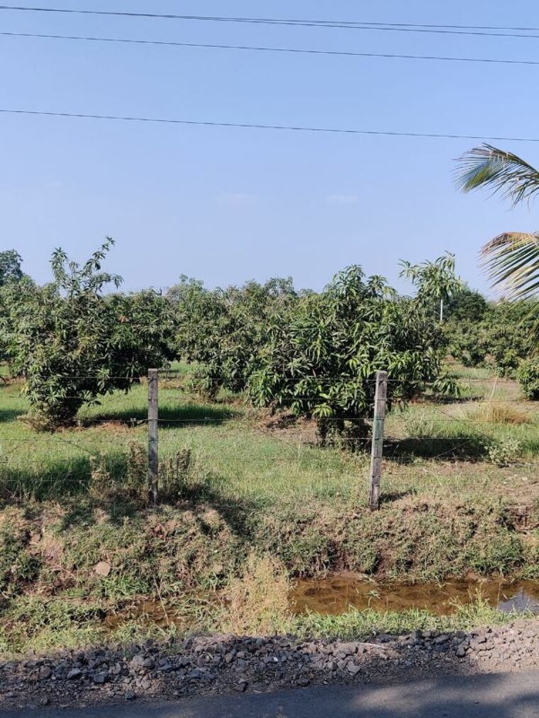 undefined, shahpore Commercial Land 156 Acre In Shahpore Surat 9853258