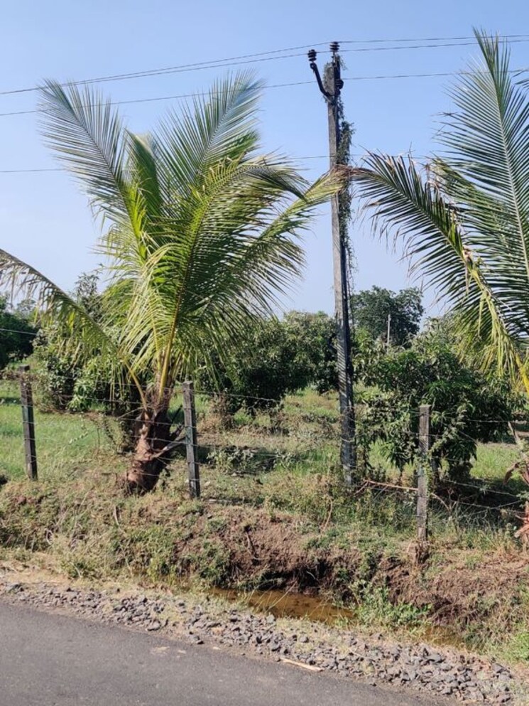 Garden, shahpore Commercial Land 156 Acre In Shahpore Surat 9853258