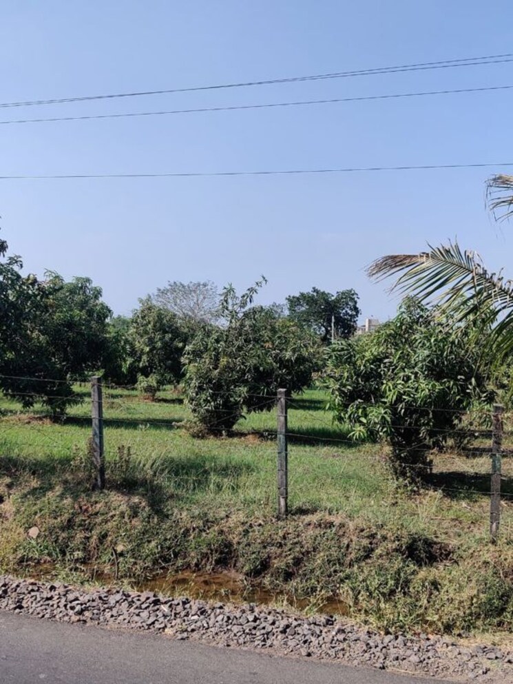 undefined, shahpore Commercial Land 156 Acre In Shahpore Surat 9853258